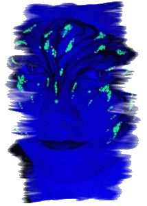 Face Painting Renfrewshire